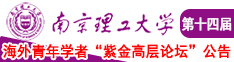 yeyecaob南京理工大学第十四届海外青年学者紫金论坛诚邀海内外英才！